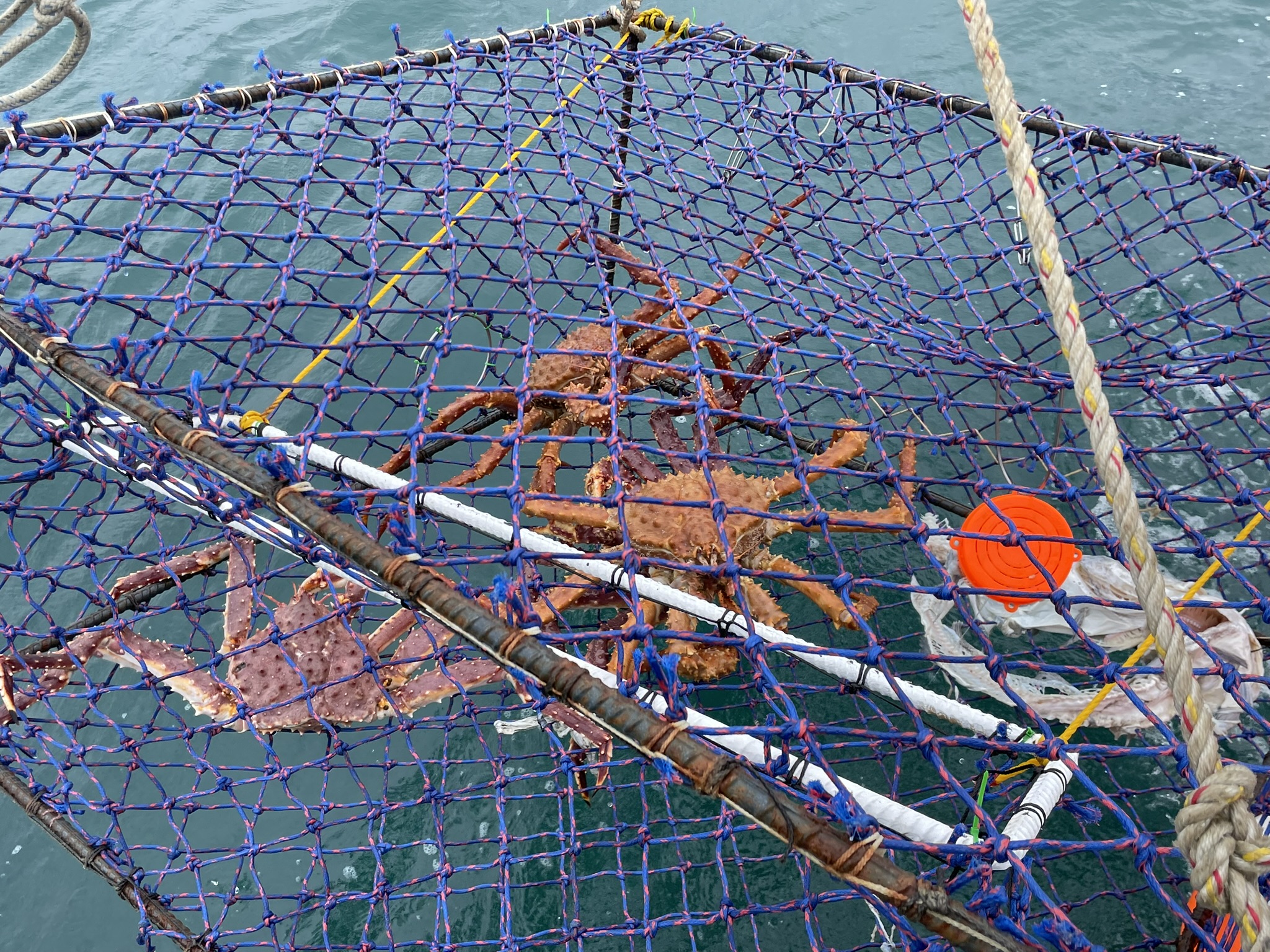 Crabbing in Southeast Alaska